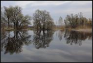 Кицівка з panoramio.com