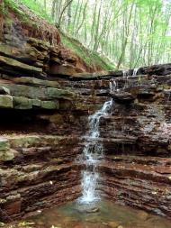 Скоморохи з panoramio.com