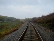 Кузьминчик з panoramio.com