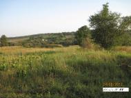 Згарок з panoramio.com