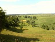 Лиски з panoramio.com