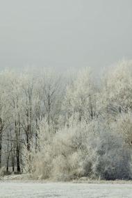 Чапаєва з panoramio.com