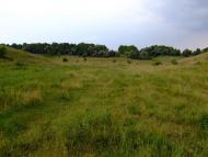 Мале з panoramio.com