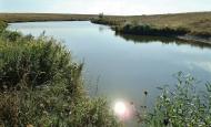 Цупки з panoramio.com - Цупки