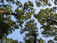 Романів з panoramio.com