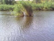 природа села