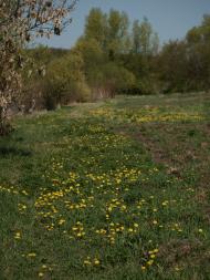 Журавлинка з panoramio.com