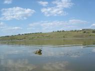 Вигода з panoramio.com