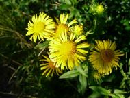 Королево з panoramio.com