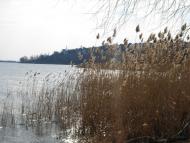 Жовтневе з panoramio.com