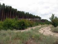 Синичине з panoramio.com