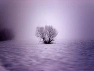 Радецька Болярка з panoramio.com