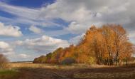 Петропавлівка з panoramio.com