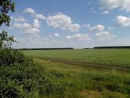 Єлизаветівка з panoramio.com