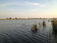 Товкачівка з panoramio.com