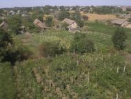 Комишівка з panoramio.com