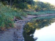 Пелагіївка з panoramio.com