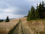 Ялинкувате з panoramio.com