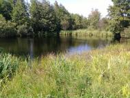 Костянтинівка з panoramio.com