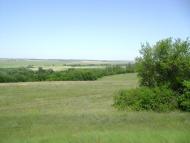 Брагинці з panoramio.com