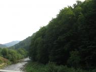 Ганьковиця з panoramio.com - Gankovytsya