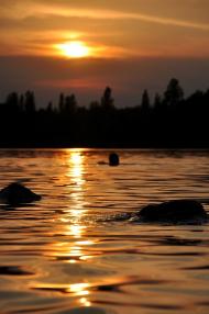 Візня з panoramio.com