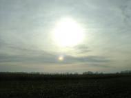 Садове з panoramio.com