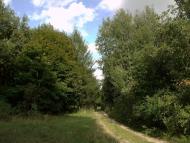 Хотин з panoramio.com