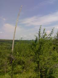 Вила з panoramio.com - Вила