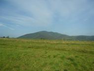 Пшеничники з panoramio.com