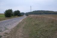 Підцурків з panoramio.com