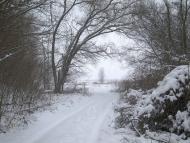 Андріївка з panoramio.com