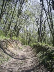 Шкарівка з panoramio.com