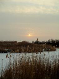 Новоселівка з panoramio.com