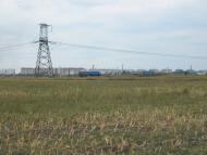 Павлівка з panoramio.com