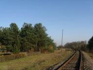 Заріччя з panoramio.com