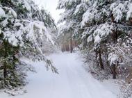 Червоний Донець з panoramio.com - Червоный Донец