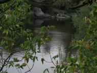 Городище-Пустоварівське з panoramio.com