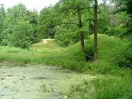 Романів з panoramio.com