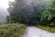 Верхутка з panoramio.com