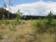 Пилиповичі з panoramio.com