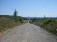 Тростянцы - Последние фото