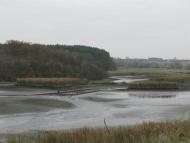 Райки з panoramio.com