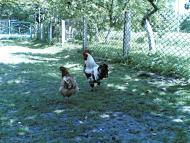 Лідава з panoramio.com