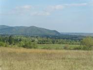 Пшеничники з panoramio.com