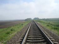 Нестерівці з panoramio.com