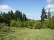 Пшеничники з panoramio.com