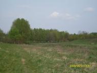 Макарівщина з panoramio.com