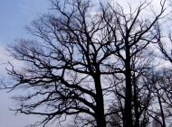 Колодяжне з panoramio.com