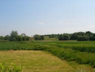 Квітки з panoramio.com